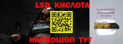 гашик Бузулук