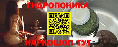гашик Бузулук