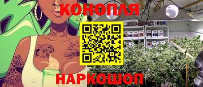 метадон Будённовск