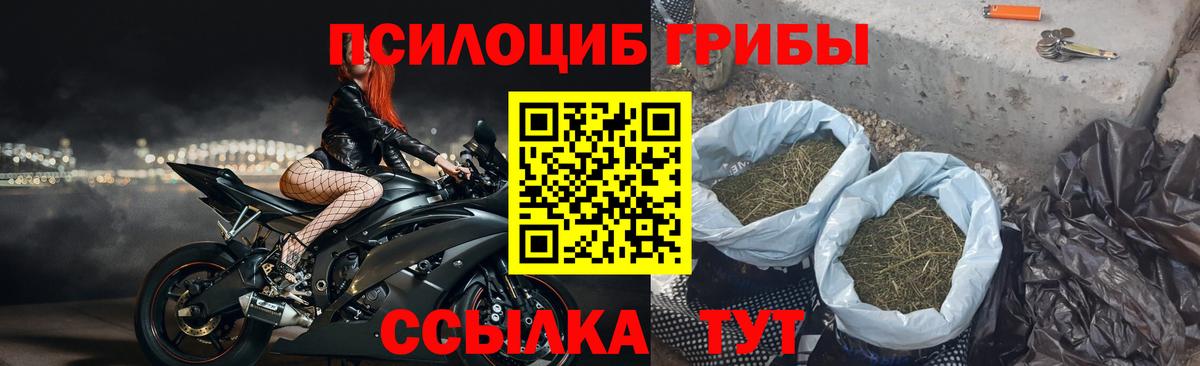 Галлюциногенные грибы мухоморы Новоуральск