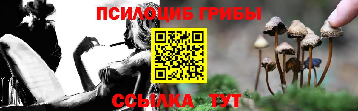 Новоуральск  Галлюциногенные грибы Psilocybe  Вход с VPN  Галлюциногенные грибы Magic Shrooms 